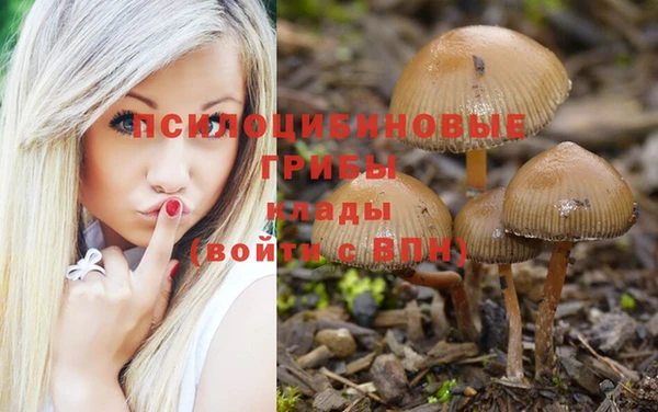 гашик Алексеевка