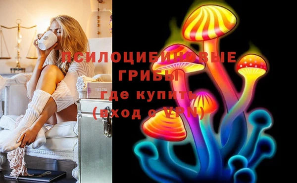прущие грибы Алзамай