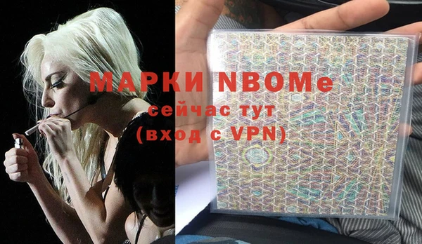 прущие грибы Алзамай