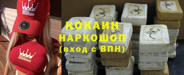 гашик Алексеевка